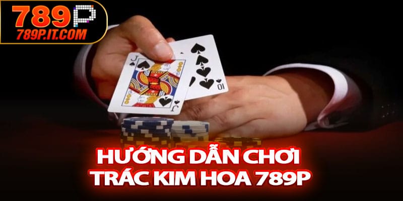 Hướng dẫn chơi Trác Kim Hoa 789P dành cho người mới bắt đầu